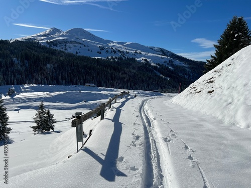 Wonderful winter hiking trails and traces in the fresh alpine snow cover of the Swiss Alps and over the village of St. Antönien - Canton of Grisons, Switzerland (Kanton Graubünden, Schweiz)