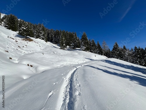 Wonderful winter hiking trails and traces in the fresh alpine snow cover of the Swiss Alps and over the village of St. Antönien - Canton of Grisons, Switzerland (Kanton Graubünden, Schweiz)