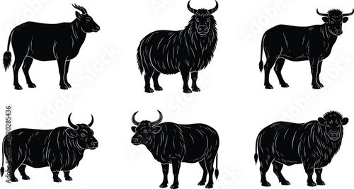 Bovine silhouette illustrations, cattle buffalo yak icons, horn shapes, fur textures, black animal design, livestock concept, minimal vector style