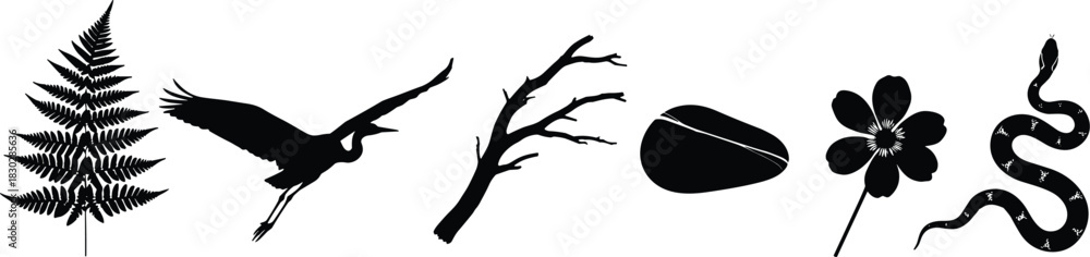 Naklejka premium Nature silhouette icons, fern, bird, branch, seed, flower, snake, black symbols, biodiversity elements, outdoor theme, minimal graphic set
