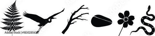 Nature silhouette icons, fern, bird, branch, seed, flower, snake, black symbols, biodiversity elements, outdoor theme, minimal graphic set
