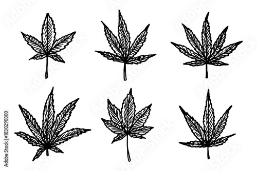Set of hand drawn cannabis leaf Medicine marijuana Hemp leaves clipart in doodle style Single element for print, web, design, decor