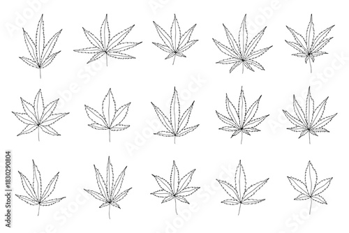 Set of hand drawn cannabis leaf Medicine marijuana Hemp leaves clipart in doodle style Single element for print, web, design, decor