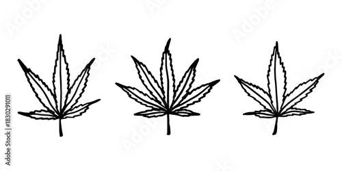 Set of hand drawn cannabis leaf Medicine marijuana Hemp leaves clipart in doodle style Single element for print, web, design, decor