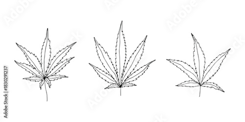 Set of hand drawn cannabis leaf Medicine marijuana Hemp leaves clipart in doodle style Single element for print, web, design, decor