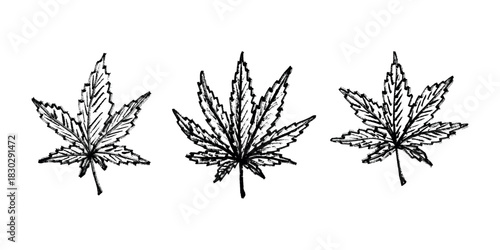 Set of hand drawn cannabis leaf Medicine marijuana Hemp leaves clipart in doodle style Single element for print, web, design, decor