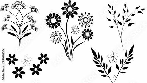 Delicate floral elements for elegant designs, botanical beauty for invitations and branding, graceful nature illustrations for creative projects, black and white