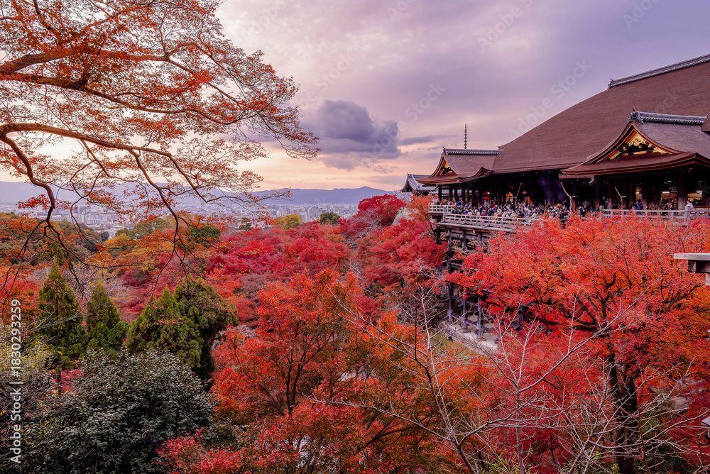 Naklejka premium The most beautiful viewpoint of Kiyomizu-dera is a popular tourist destination in Kyoto City, Japan.