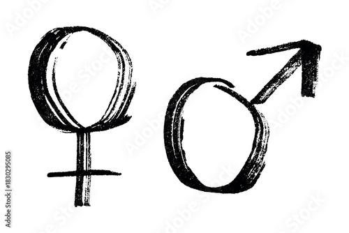 Hand drawn female and male gender identity sign Symbol used to represent sex and gender Single element for print, web, design, decor