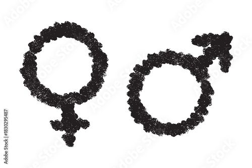 Hand drawn female and male gender identity sign Symbol used to represent sex and gender Single element for print, web, design, decor
