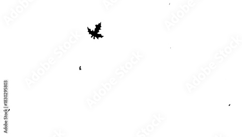 Delicate maple leaf silhouette drifting gently, ideal for nature-themed designs, autumnal projects, or symbolic representations of change and transition