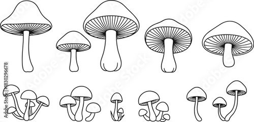 PrintMushroom illustration, black and white, fungi sketch, botanical drawing, nature design, forest elements, line art, educational graphic, outline style