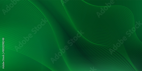 green abstract background design with elegant golden elements vector illustration