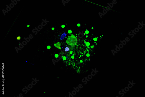 Bright neon green and blue liquid drops floating in a dark abstract background, resembling microscopic cells, particles, or bioluminescent elements. Vibrant experimental macro photography with glowing