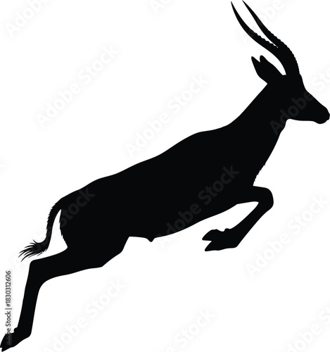 Technical PostScript Code for Vector Graphics and Color Management