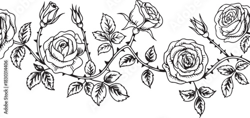 Floral Ornamental Seamless Border Featuring Roses Leaves and Thorny Branches in Black and White Against Transparent Backdrop 130