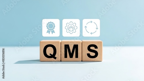 Quality Management System Understanding QMS Icons and Process Improvement