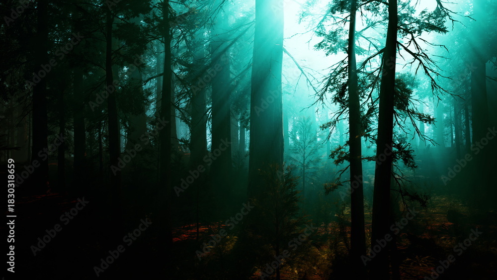 Naklejka premium Tall trees loom in a foggy forest, their silhouettes dark against a soft blue glow. The mist creates an ethereal atmosphere, inviting exploration and wonder within this serene landscape.
