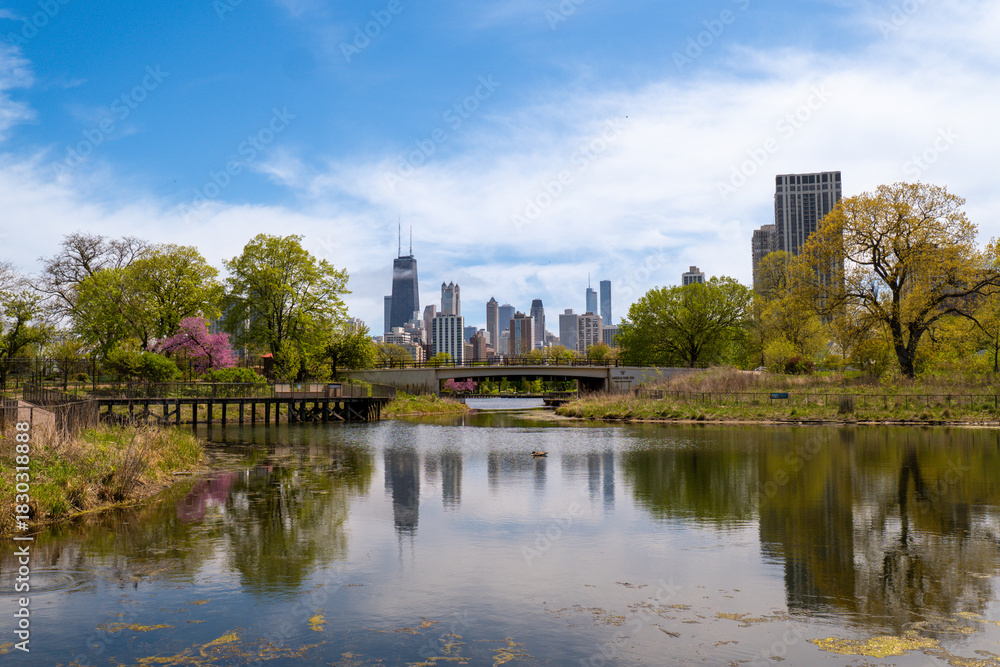 Fototapeta premium View from Lincoln Park Zoo with the Chicago skyline in the distance, including the Willis Tower. Reflection of city and sky in the water. Urban architecture meets natural scenery.