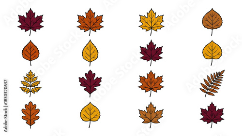 Autumn Leaf Collection: A vibrant collection of autumnal leaves in various shapes and colors, evoking the beauty and transformation of the season.