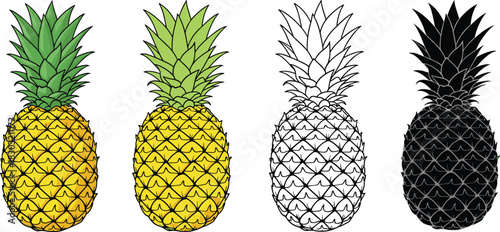 Pineapple illustration set, color and silhouette styles, tropical fruit icons, artistic variations, food design asset, flat vector