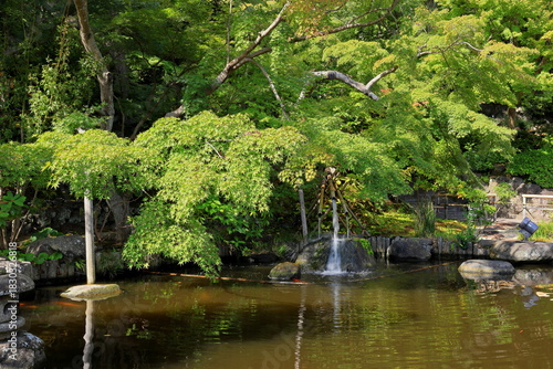 Hasedera, a Buddhist temple and gardens with a huge wooden statue of the god Kannon in Kamakura, Kanagawa, Japan
