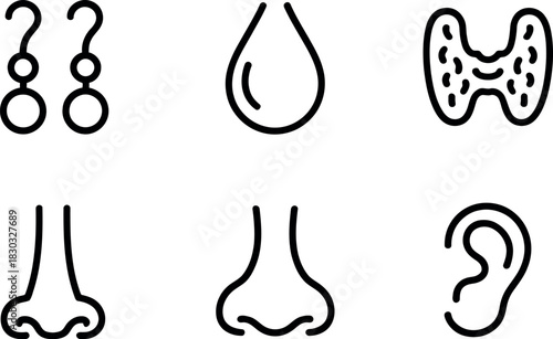 Human body parts icons isolated on