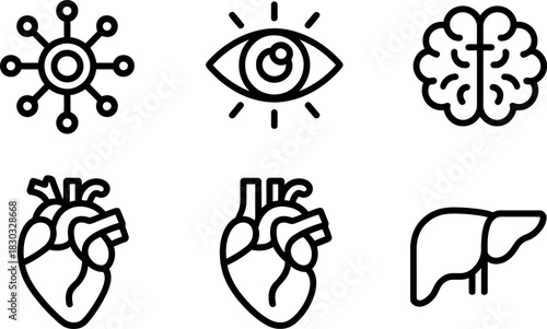 Human organs icons isolated on