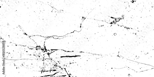 Abstract white and black grunge dust particle and dust grain texture. old grunge texture with scratches and cracks paint wall texture. Dust Overlay Distress Grain with scratch grunge urban background.