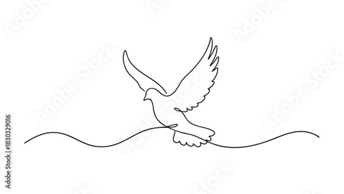 Clean white background for product shots and graphic design elements