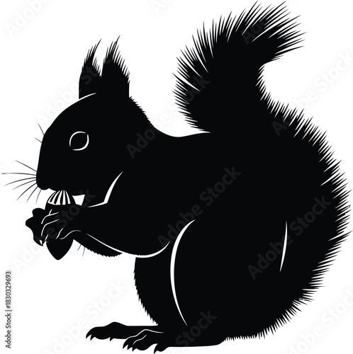 Silhouette of a squirrel eating a nut on a white background