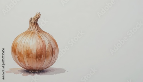 A single brown onion with dry papery skin rendered in a watercolor art style positioned on a clean white background