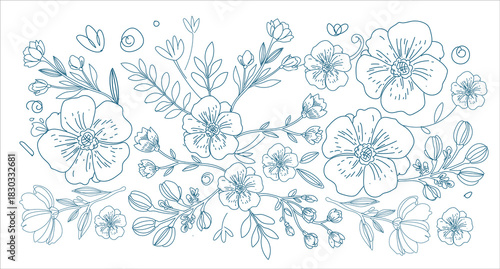 Outlined botanical pattern with wild flowers. Seamless repeating floral background with herbs print. Black and white vintage texture with herbal field plants, Hand Drawn vector illustration