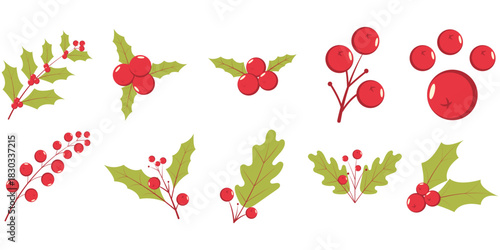 Christmas Holly Berries Element
