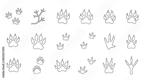 Simple line drawing of a bear paw print on white background animal