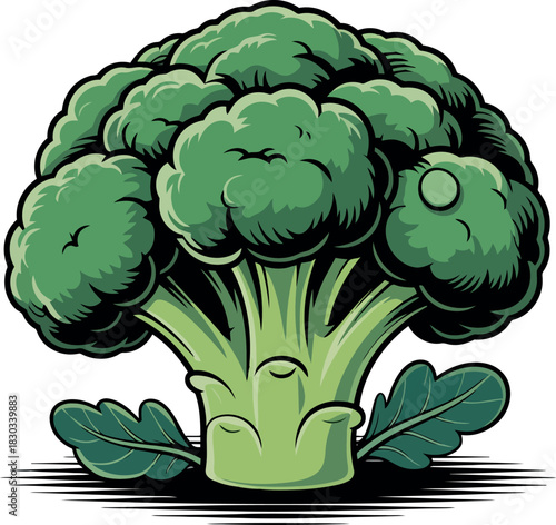 Green broccoli head with dark leaves and stylized shadow vegetable food