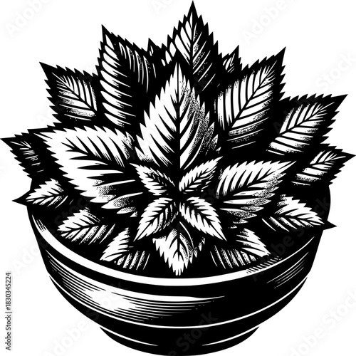 Black and white vector illustration of a cannabis plant in a pot with leaves and flower design