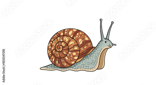 A cute cartoon snail with a brown spiral patterned shell and light blue body, featuring prominent eyestalks, against a white background.
