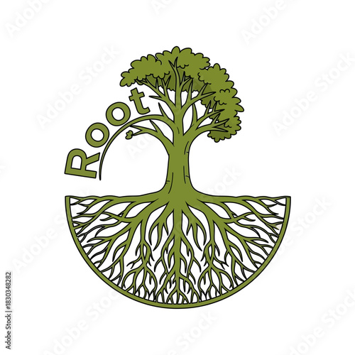 Illustration of a tree with roots and the word 'Root' arched above it.