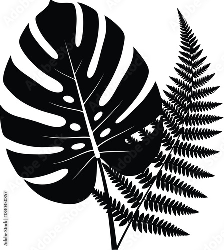Silhouette of large monstera leaf and delicate fern frond against a, representing tropical flora and nature
