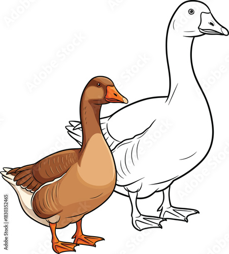 A brown cartoon goose standing next to a black and white line art goose a coloring book page illustration.