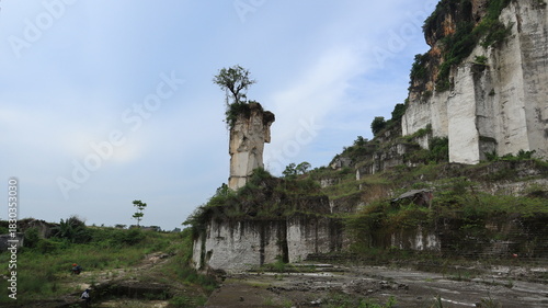 An old and large tree grows on the ground above a tall limestone pillar formed by the mining process in Tuban, East Java, Indonesia.