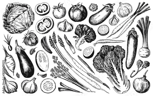 Hand drawn sketch collection of fresh vegetables on white background