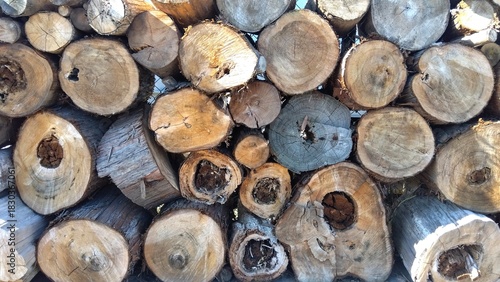 資材置き場に積まれた切断された丸太