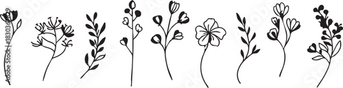 Black and white floral vector set | botanical illustrations | flower clip art eps silhouette