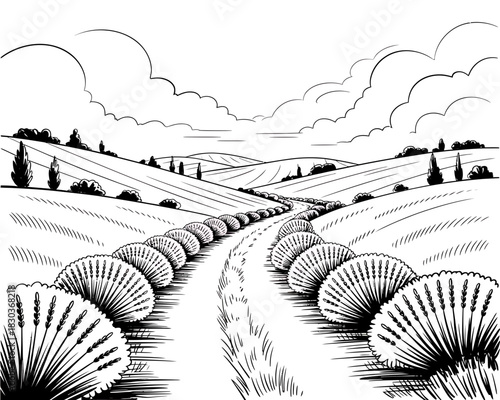 A winding country road lined with bushes and cypress trees under a cloudy sky