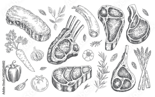 Hand drawn collection of raw meat cuts and fresh vegetables and herbs