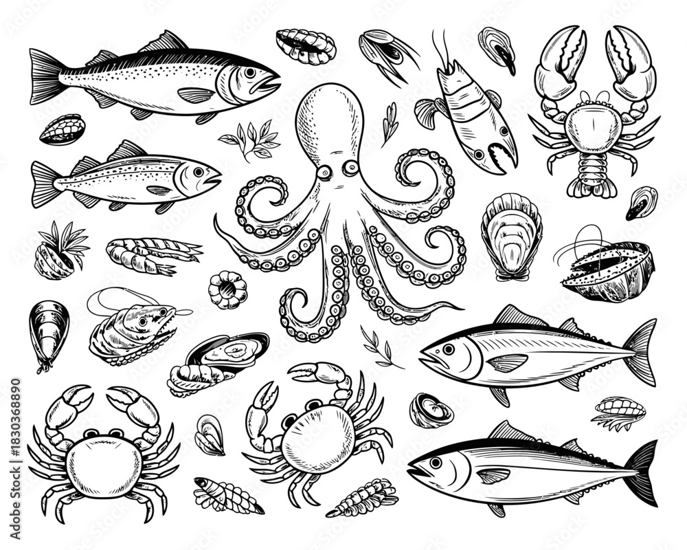 Obraz premium Collection of hand drawn seafood illustrations in black and white