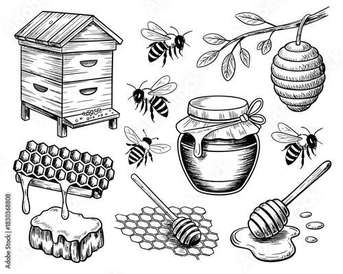 Hand drawn beehive honeycomb jar and bees illustration