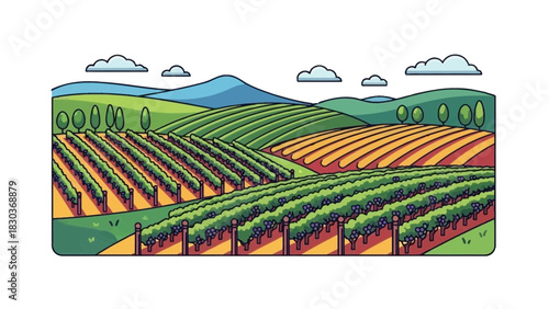 Charming vineyard illustration featuring rolling hills, lush grape vines, and sunny skies, perfect for wine tourism brochures and agricultural promotions